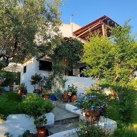 הוילה גראקיני Sonia'S House With Garden מראה חיצוני תמונה