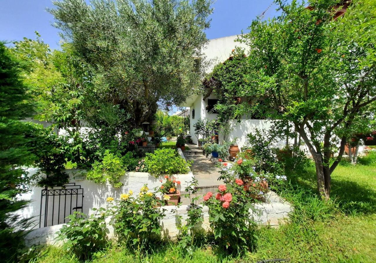 הוילה גראקיני Sonia'S House With Garden מראה חיצוני תמונה